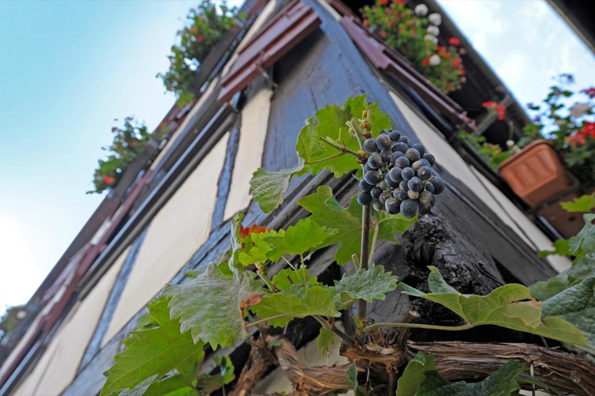 Strumpfweberhaus Schiltach Luaran gambar